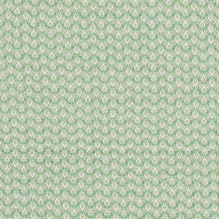 Schumacher Crosby Leaf Fabric Sample 76151