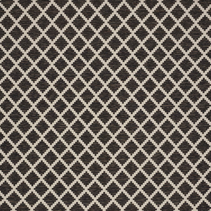 Schumacher Tibur Black Fabric 76540