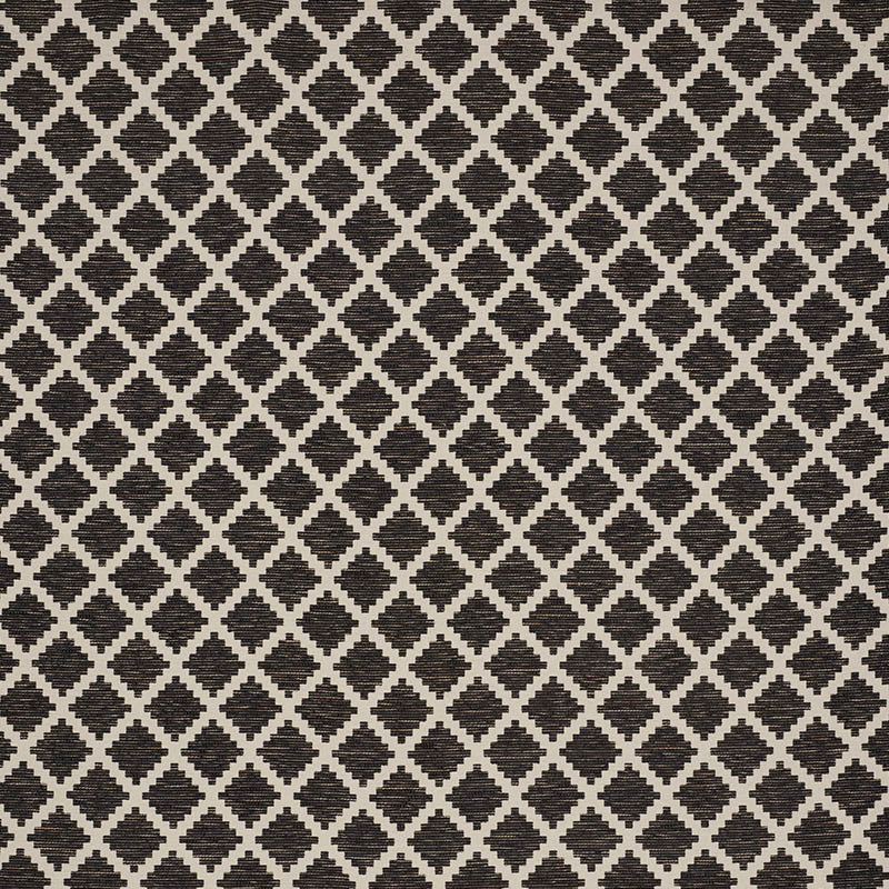 Schumacher Tibur Black Fabric Sample 76540