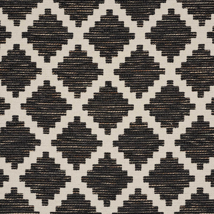 Schumacher Tibur Black Fabric Sample 76540