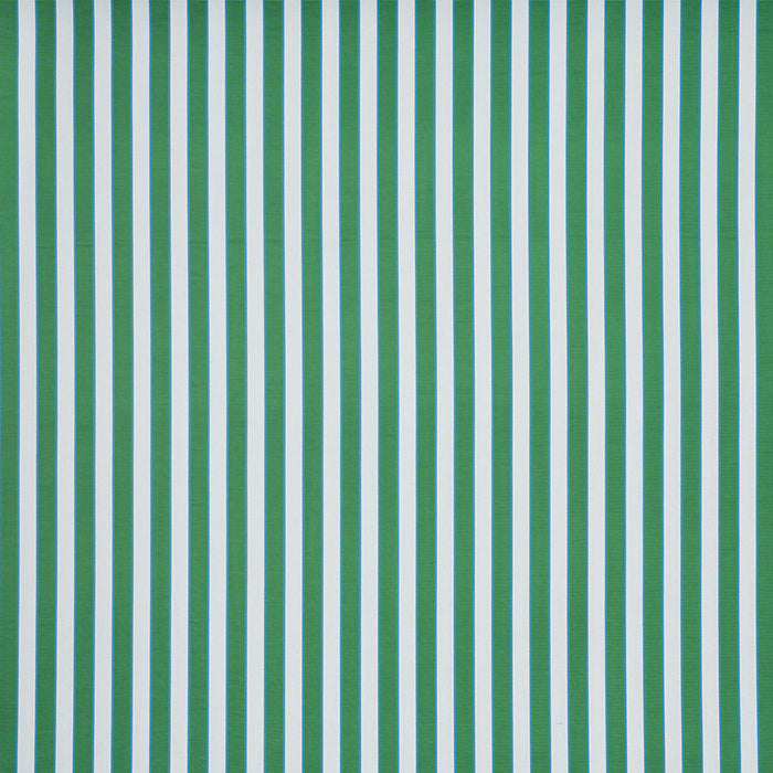 Schumacher Ribbon Stripe Emerald Fabric Sample 77100