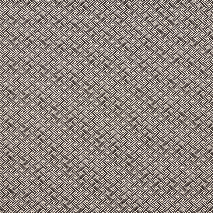 Schumacher Ionic Weave Black Fabric 77122