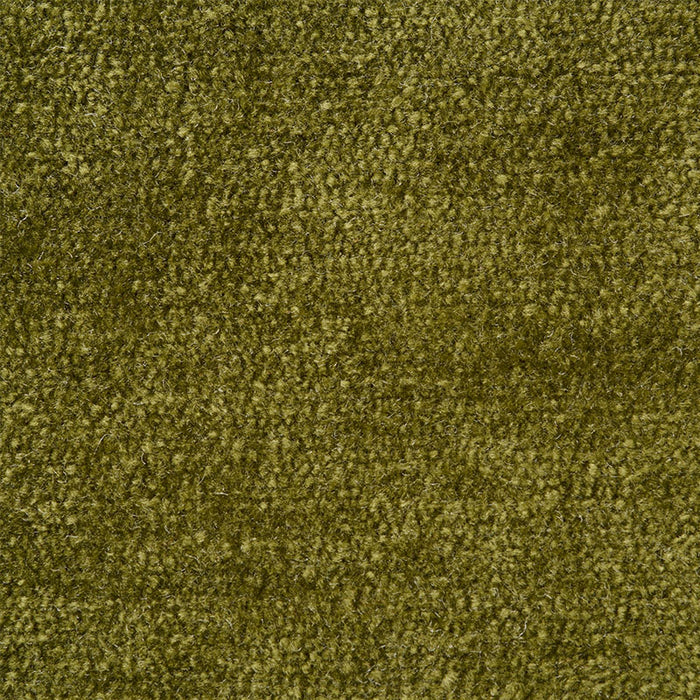 Schumacher Ryder Performance Chenille Moss Fabric 77165