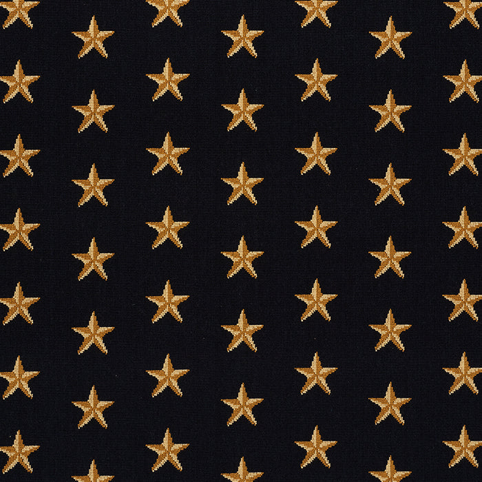 Schumacher Star Epingle Black Fabric 77420