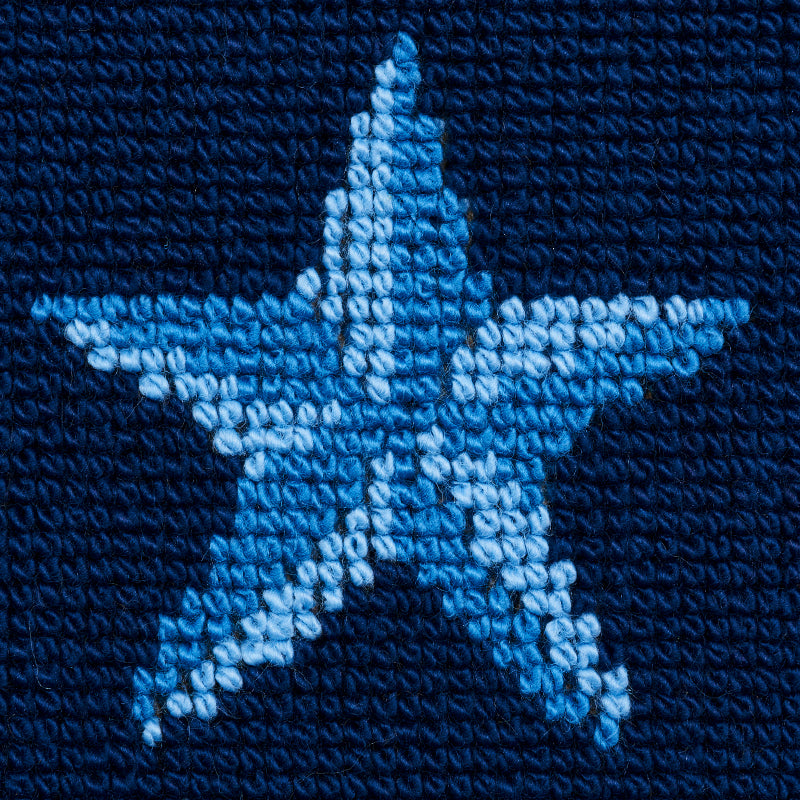 Schumacher Star Epingle Blue Fabric 77421