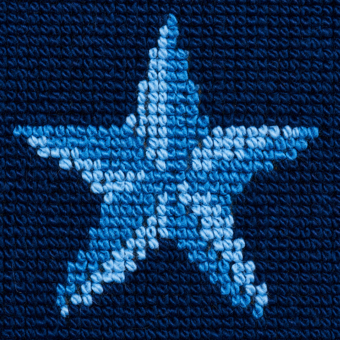 Schumacher Star Epingle Blue Fabric Sample 77421