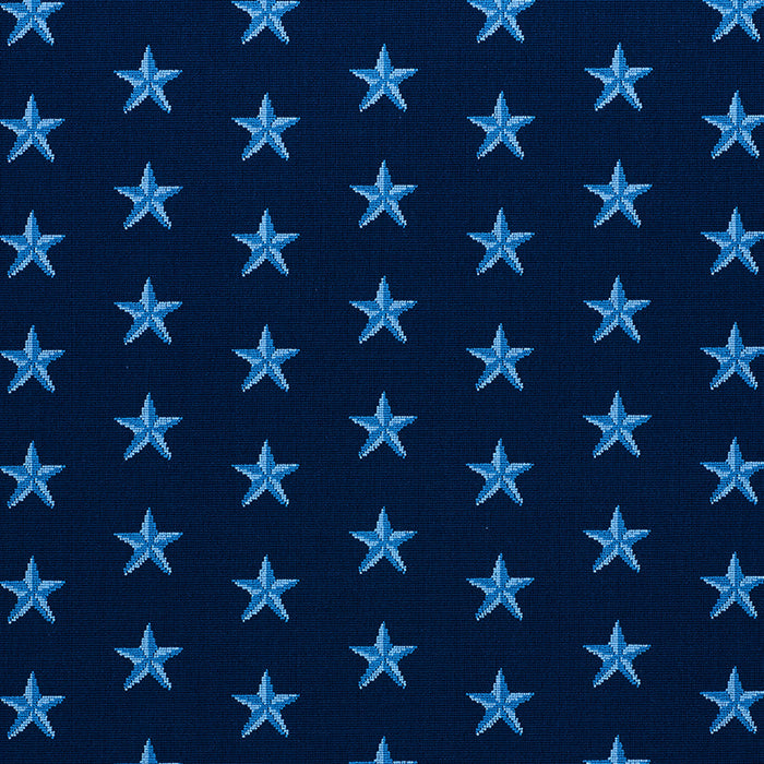 Schumacher Star Epingle Blue Fabric 77421