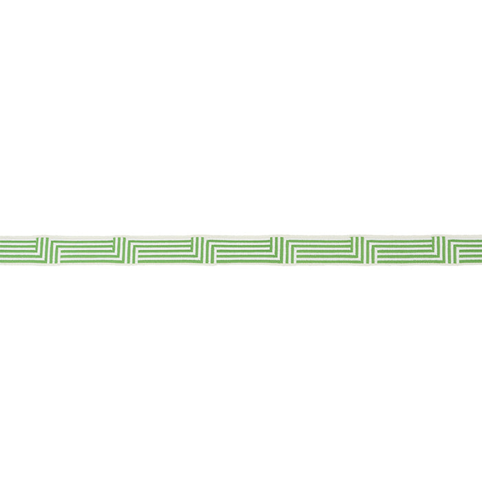 Schumacher Osilas Tape Green Trim Sample 77472