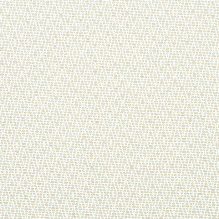 Schumacher Derby Diamond Performance Ivory Fabric Sample 77520