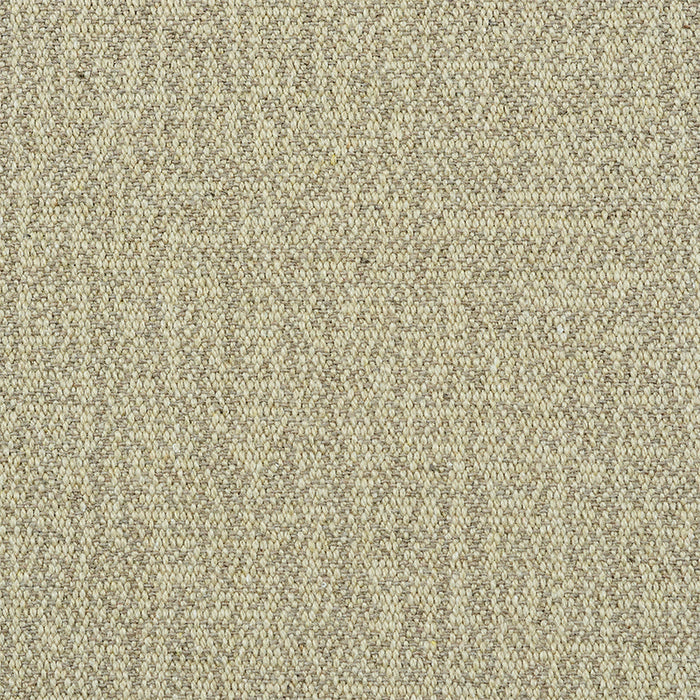 Schumacher Albert Performance Cotton Flax Fabric Sample 77802