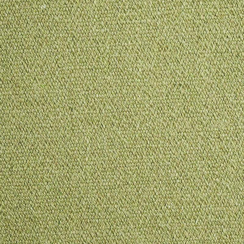 Schumacher Albert Performance Cotton Green Fabric 77810