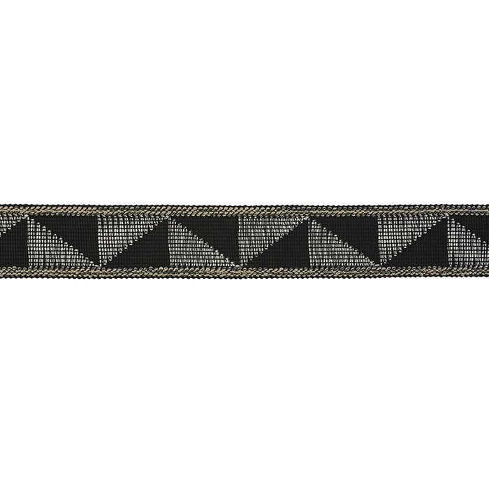 Schumacher Teague Tape Indoor/Outdoor Black Trim Sample 78532