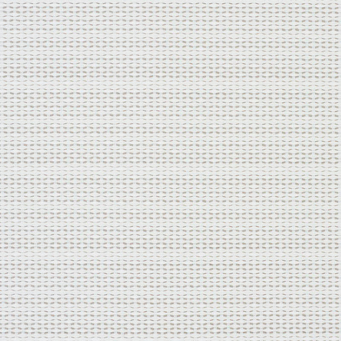 Schumacher Branford Indoor/Outdoor Neutral Fabric Sample 78542