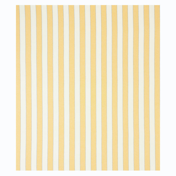 Schumacher Blumont Stripe Indoor/Outdoor Yellow Fabric Sample 79052