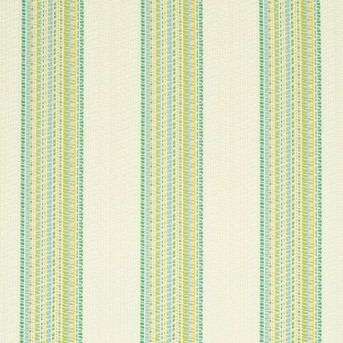 Schumacher Bendita Stripe Indoor/Outdoor Leaf Fabric 79150