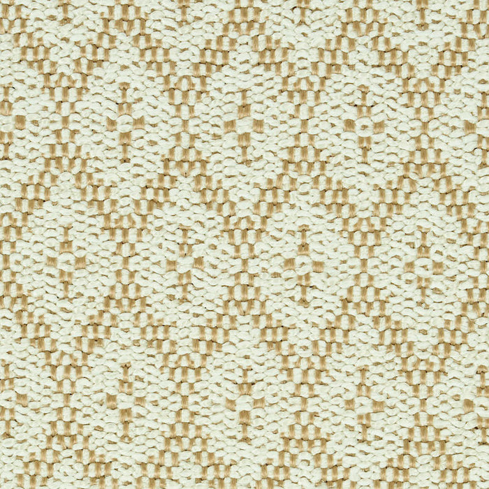 Schumacher Olmsted Indoor/Outdoor Natural Fabric Sample 79171