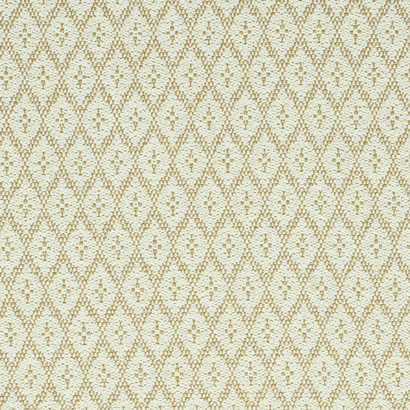 Schumacher Olmsted Indoor/Outdoor Natural Fabric 79171