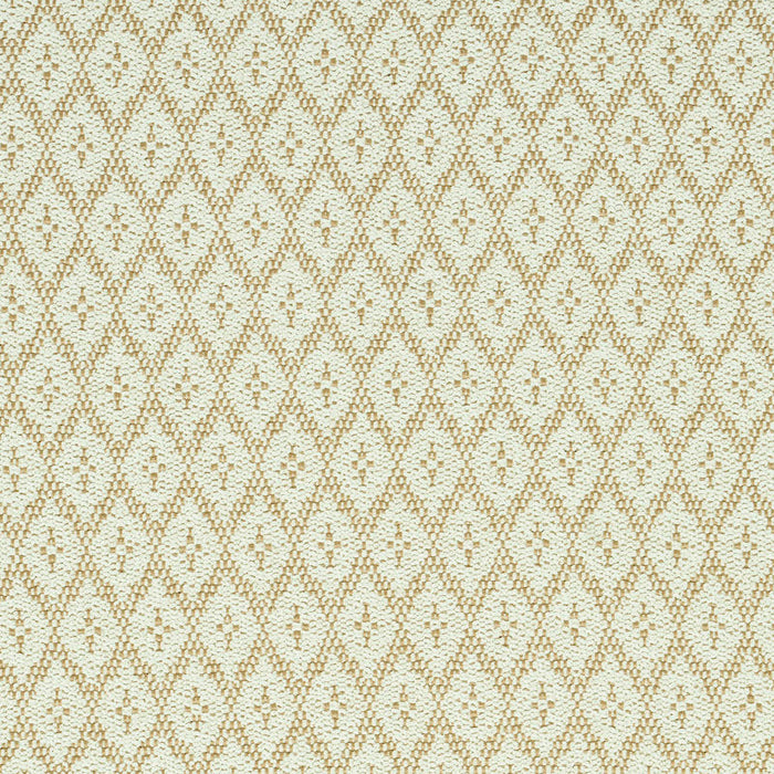 Schumacher Olmsted Indoor/Outdoor Natural Fabric Sample 79171