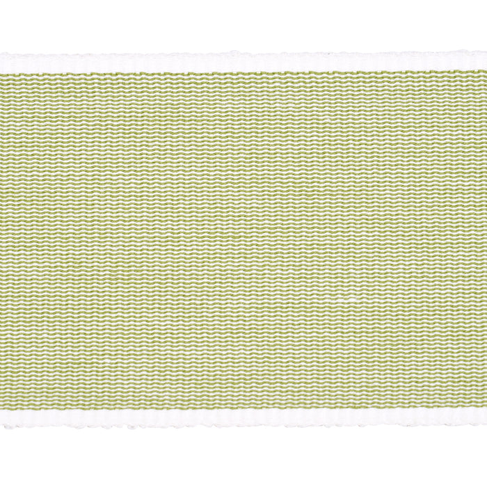 Schumacher Sandpiper Tape Wide Green Trim Sample 79384