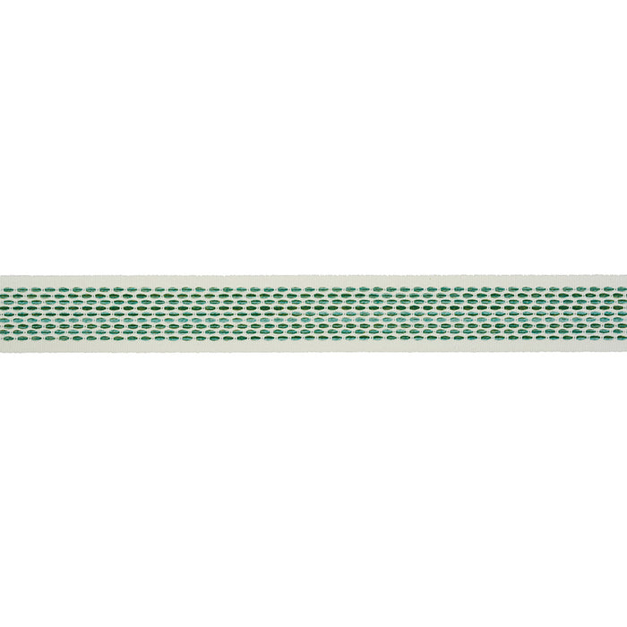 Schumacher Portola Tape Indoor/Outdoor Green Trim Sample 79420