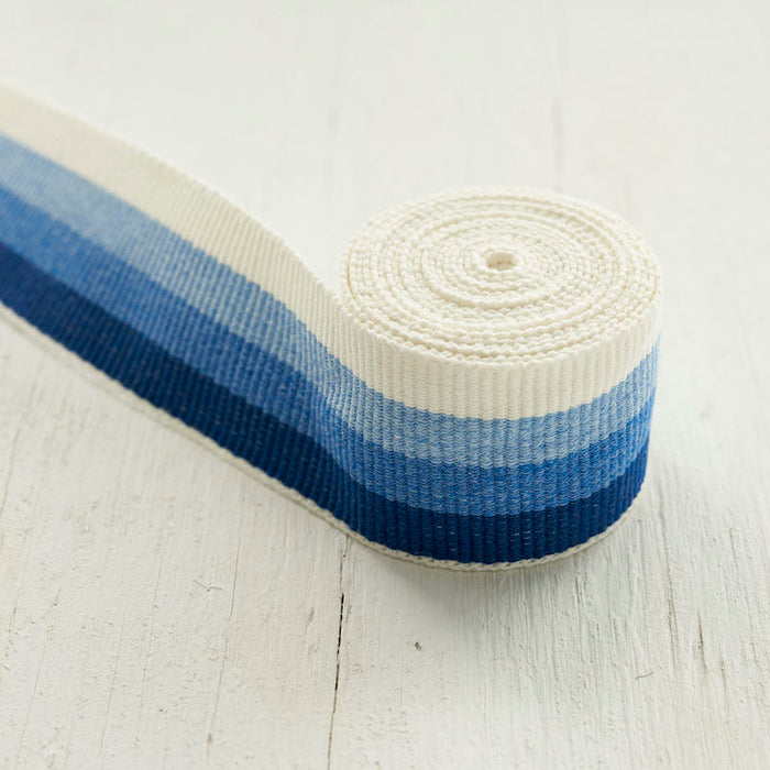 Schumacher Ombre Tape Indoor/Outdoor Blue Trim Sample 79430