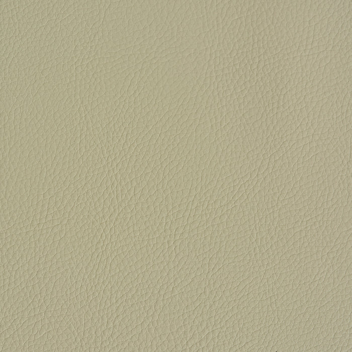 Schumacher Vegan Leather Indoor/Outdoor Dune Fabric 79553