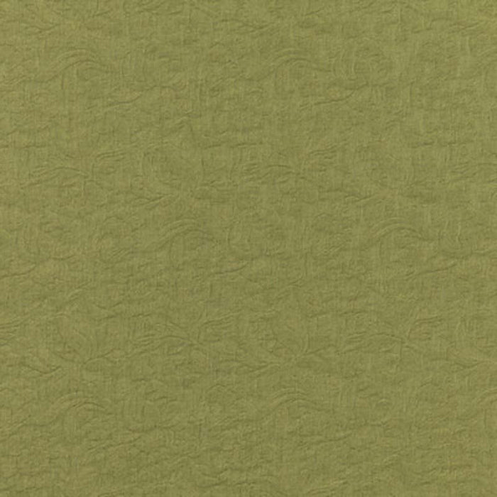 Brunschwig & Fils Gambetta Weave Verd Fabric Sample 8019120.3.0