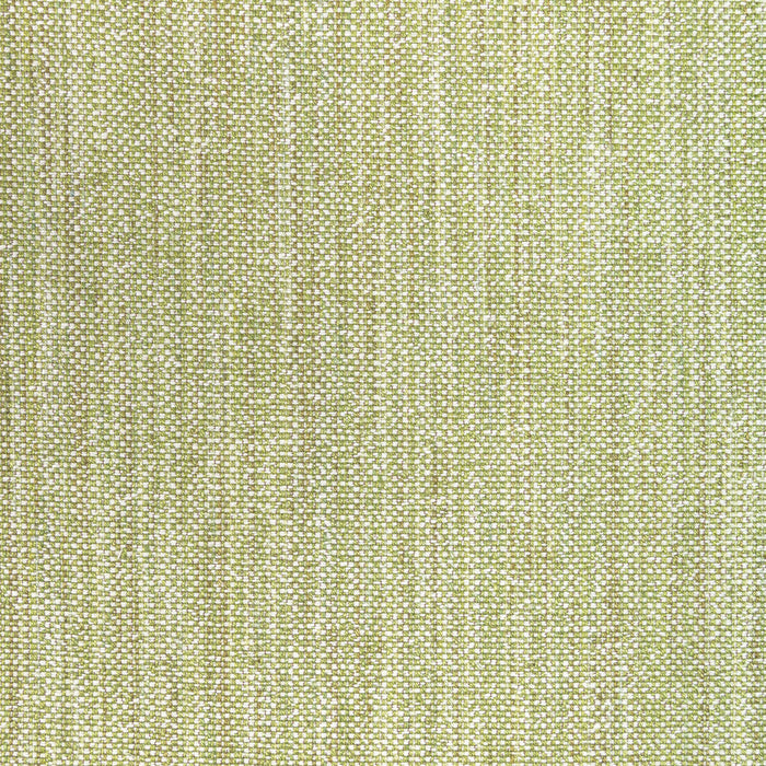 Brunschwig & Fils Rospico Plain Leaf Fabric Sample 8022110.3.0