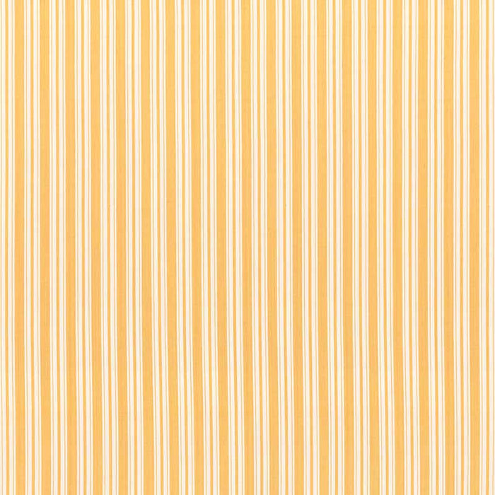 Brunschwig & Fils Selune Stripe Yellow Fabric Sample 8022118.40.0