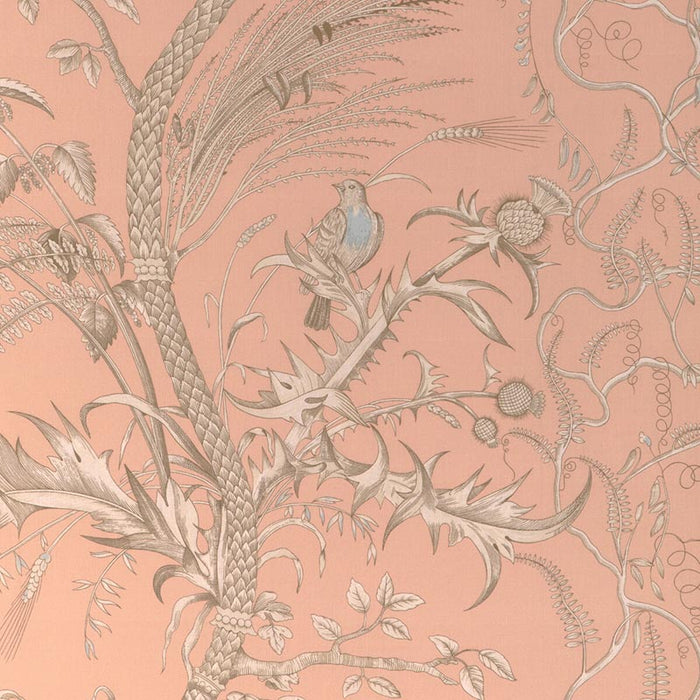 Brunschwig & Fils Bird And Thistle Ii Peach Fabric 8024101.1216.0