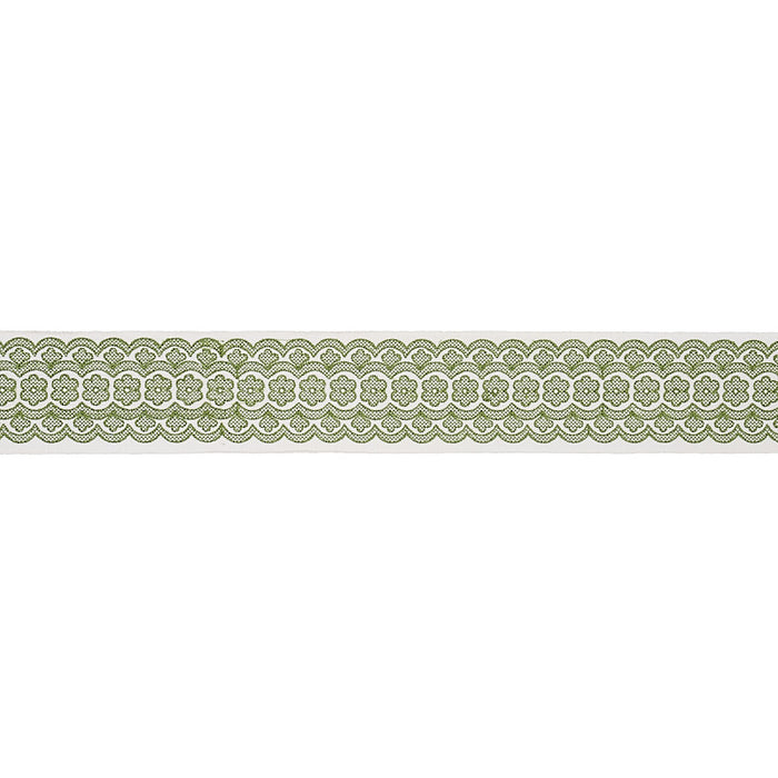 Schumacher Astrid Embroidered Tape Green Trim Sample 80441