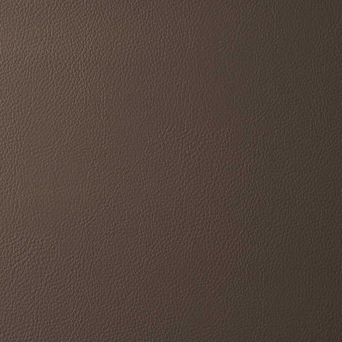 Schumacher Vegan Leather Indoor/Outdoor Java Fabric Sample 80901