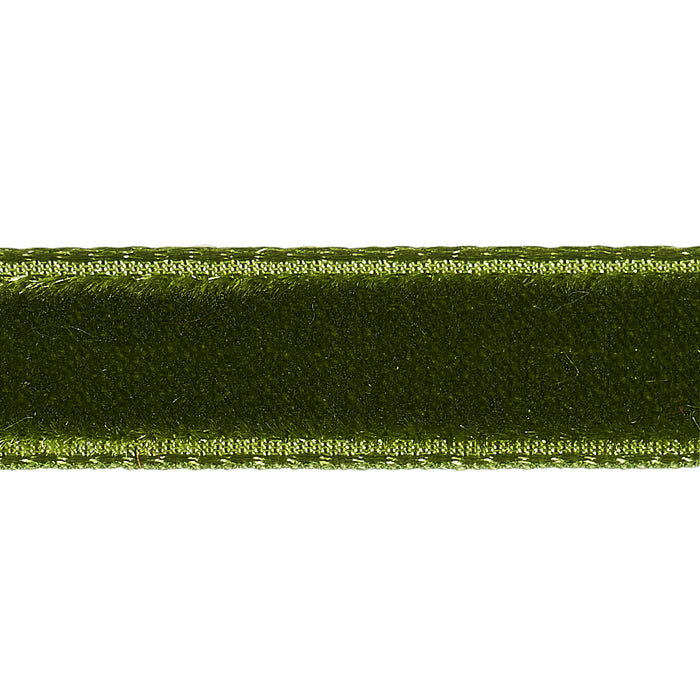 Schumacher Velvet Tape Narrow Moss Trim Sample 80925