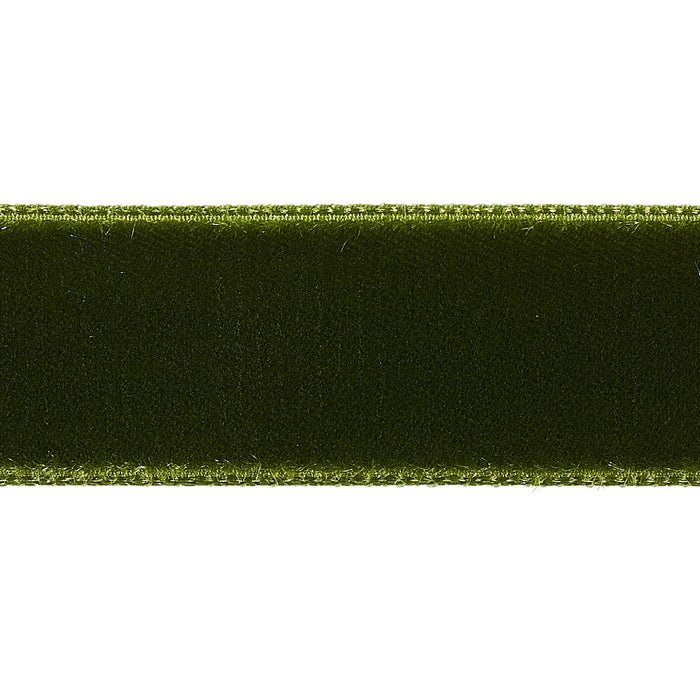 Schumacher Velvet Tape Medium Moss Trim Sample 80945