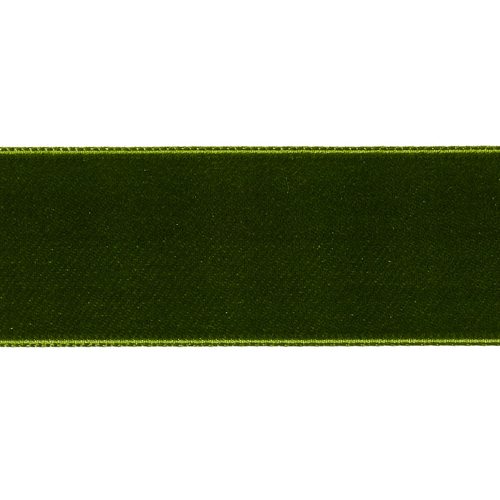 Schumacher Velvet Tape Wide Moss Trim Sample 80965