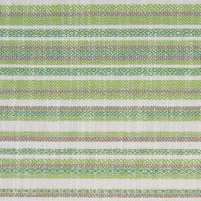 Schumacher Dylan Indoor/Outdoor Green Fabric Sample 81050