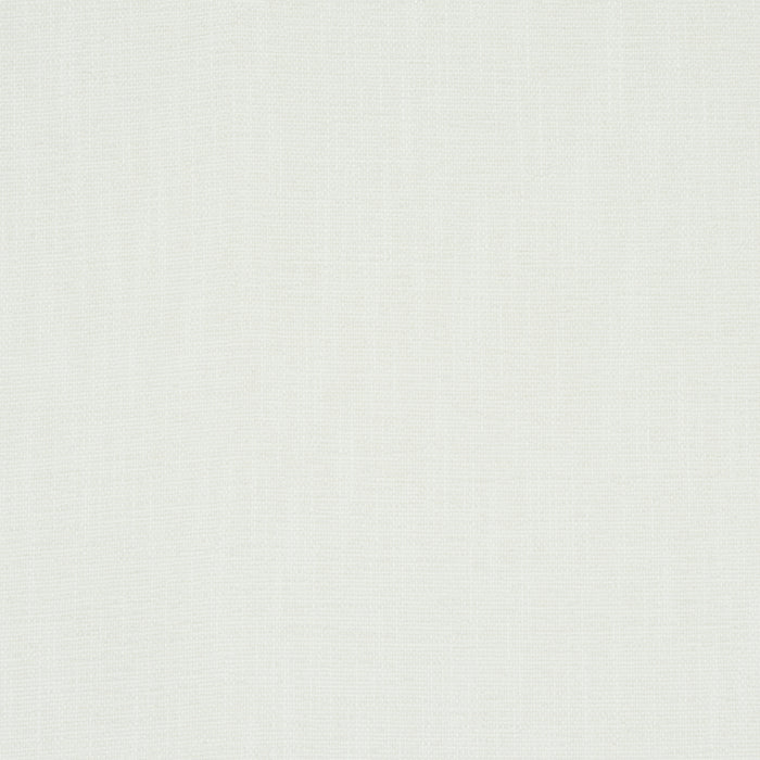 Schumacher Dean Indoor/Outdoor Ivory Fabric Sample 81122