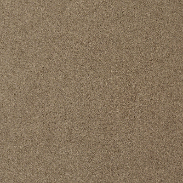 Schumacher Vegan Suede Fawn Fabric Sample 81137