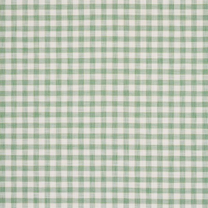 Schumacher Martina Plaid Indoor/Outdoor Green Fabric Sample 81411