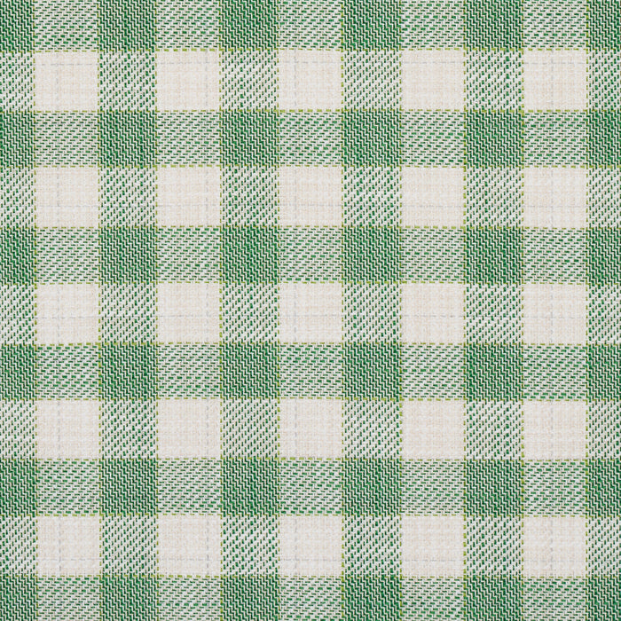 Schumacher Martina Plaid Indoor/Outdoor Green Fabric Sample 81411