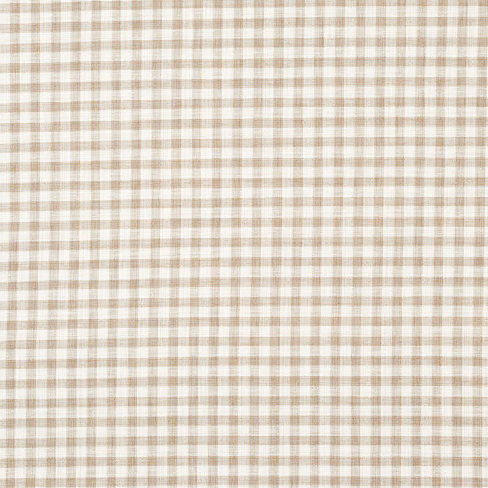 Schumacher Martina Plaid Indoor/Outdoor Natural Fabric Sample 81412