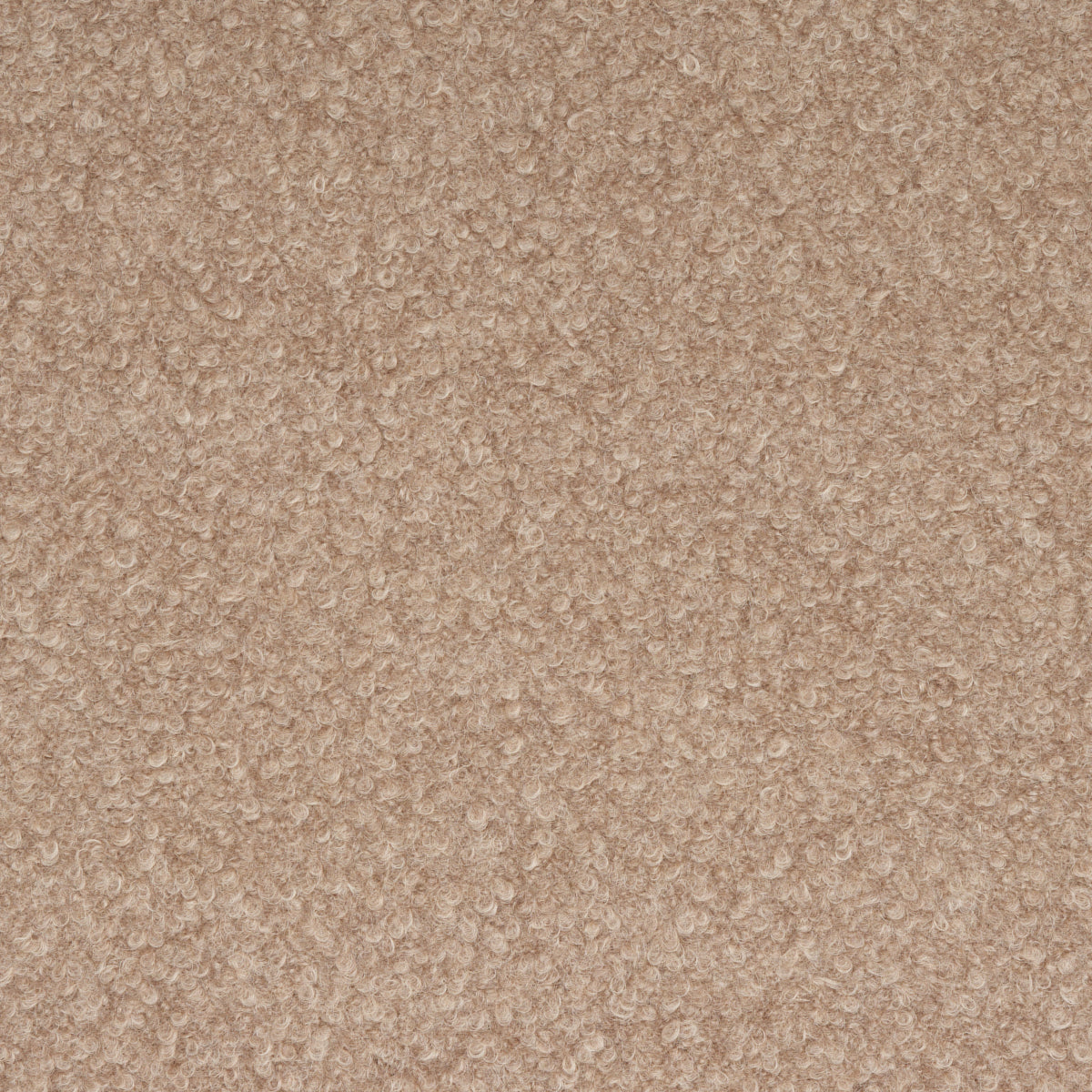 Schumacher Teddy Wool Boucle Fawn Fabric 82062