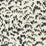 China Seas Passy Ii Black Fabric Sample 8210-10