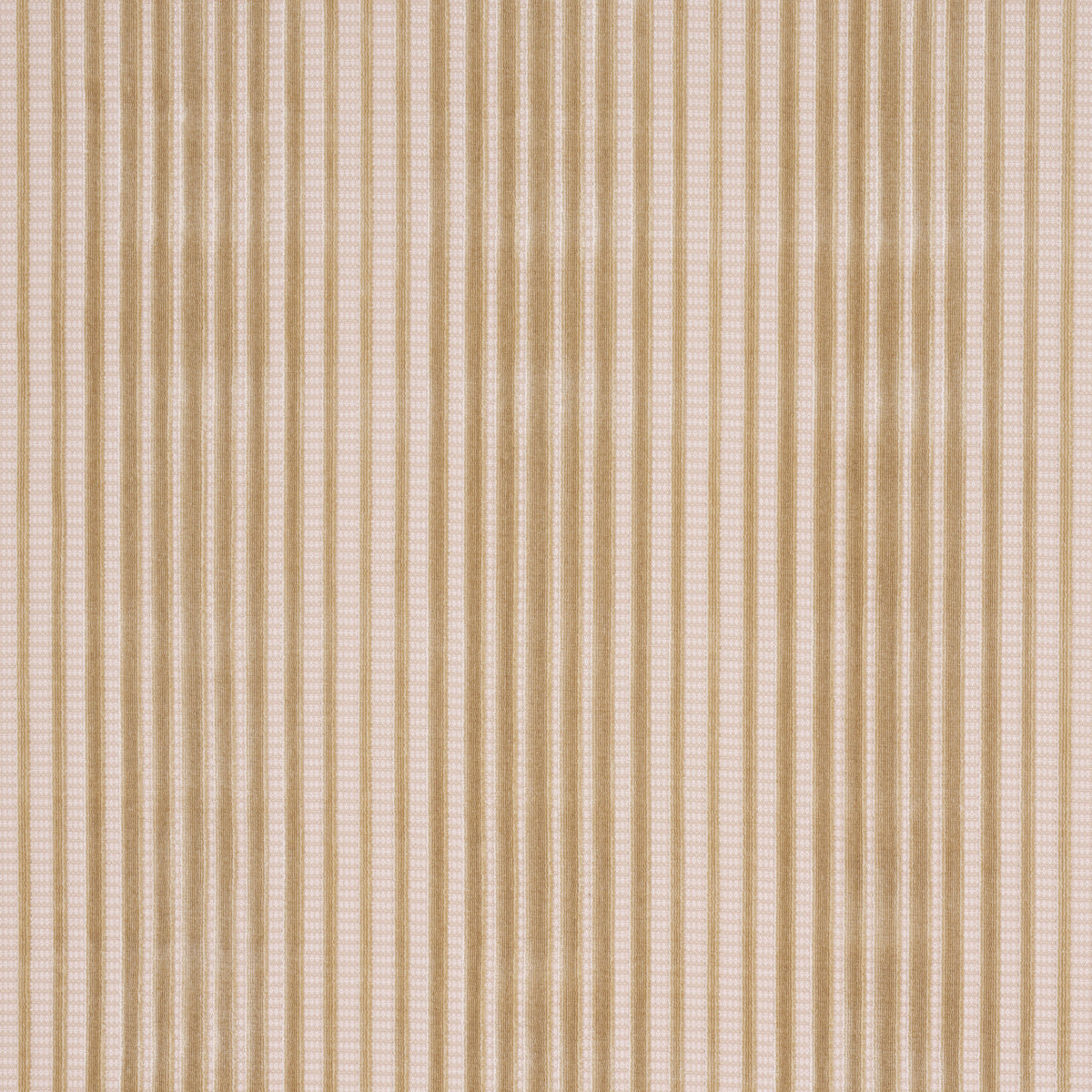 Schumacher Chimay Stripe Velvet Champagne Fabric 82153