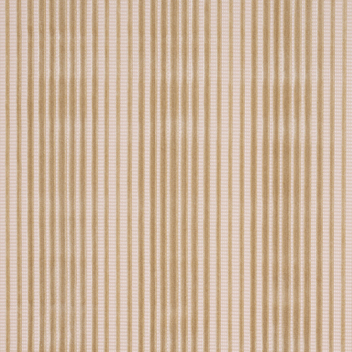 Schumacher Chimay Stripe Velvet Champagne Fabric Sample 82153