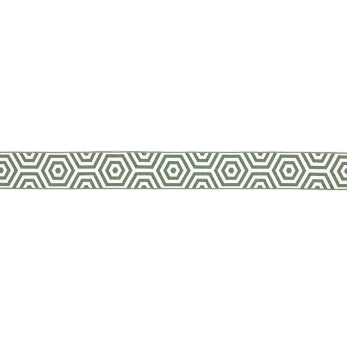 Schumacher Bees Knees Indoor/Outdoor Tape Green Trim 82451