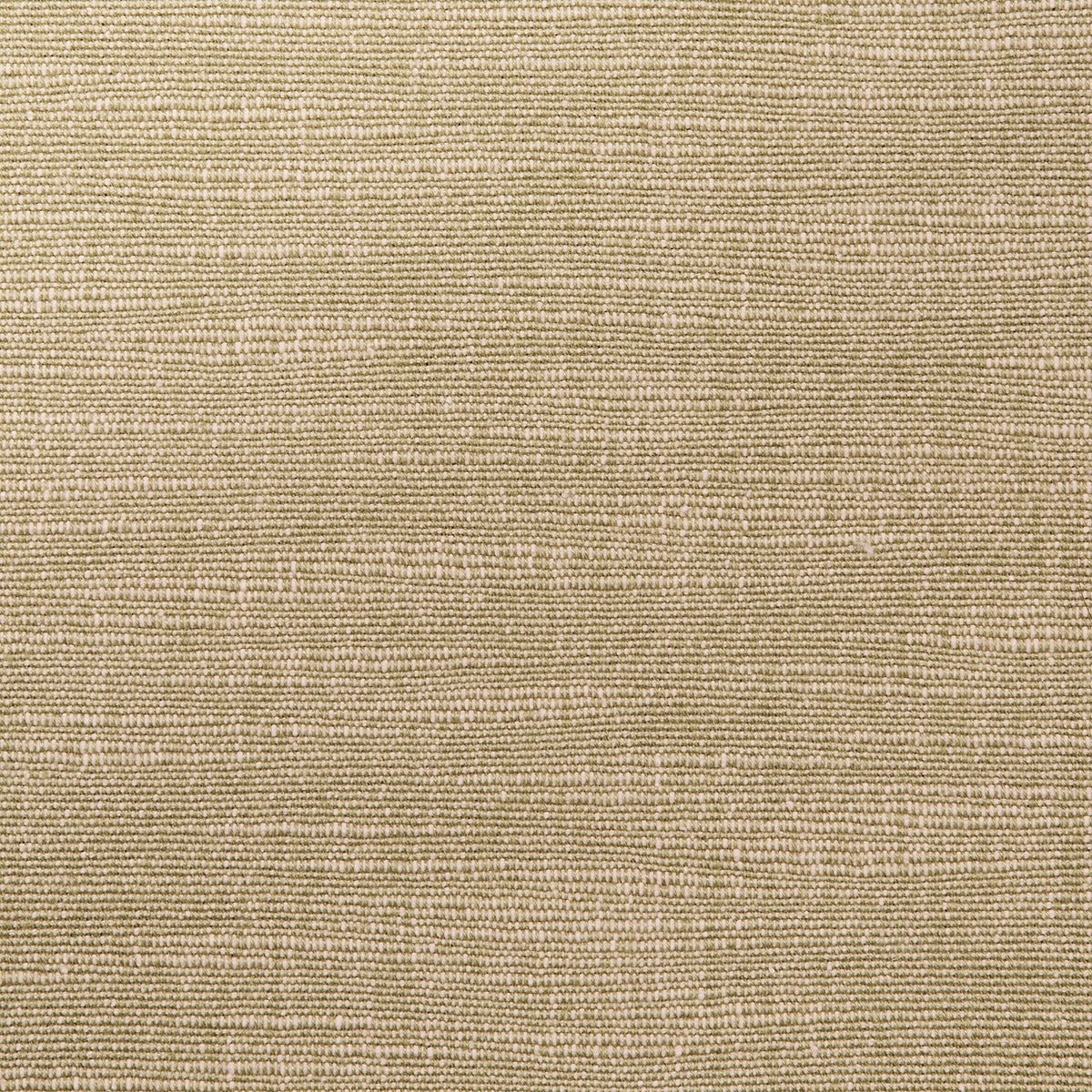 Schumacher Annabel Cotton Neutral Fabric 82564