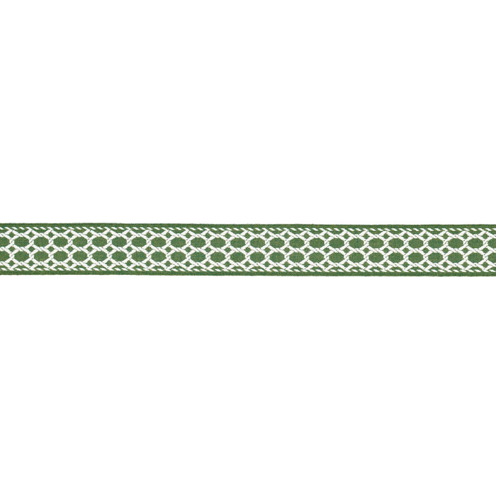 Schumacher Lattice Indoor/Outdoor Tape Green Trim Sample 82822