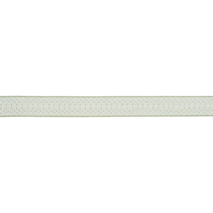 Schumacher Infinito Indoor/Outdoor Trim Sage Trim Sample 83541