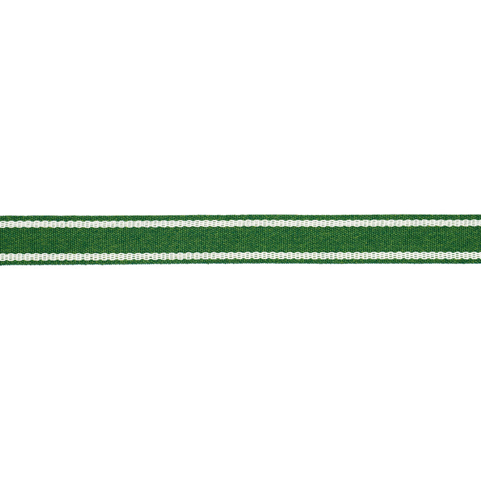 Schumacher Sullivan Tape Narrow Indoor/Outdoor Green Trim Sample 83672